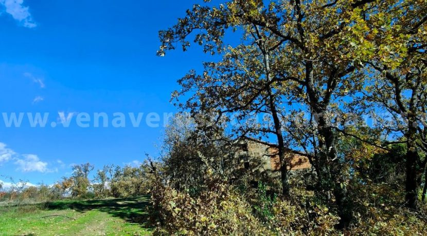 31d30dd2-e064-4f64-a5ba-db93652911d7_result