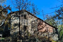 5f2d988d-39e1-4369-9df6-3be683a61502_result