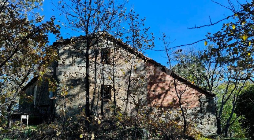 5f2d988d-39e1-4369-9df6-3be683a61502_result