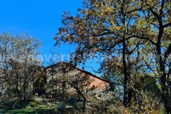 60966b61-7b94-42db-bf1a-44d508553a8a_result