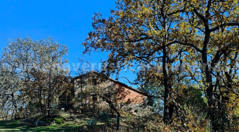 60966b61-7b94-42db-bf1a-44d508553a8a_result