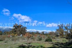 64fdd600-082e-4e4e-b331-d3e6f723b76b_result