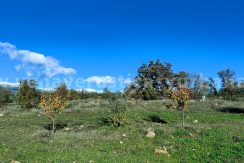 6995fea8-695d-4d75-a192-de6613a8af26_result