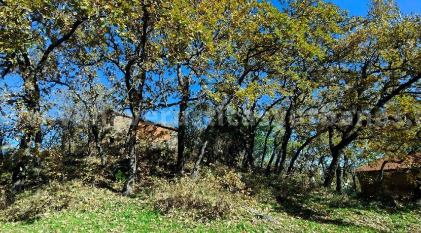 7e8309a3-2fdc-48d1-afdf-e6dc03b0102e_result