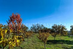 8ed3f359-cb5b-4953-9b7b-551db5967495_result