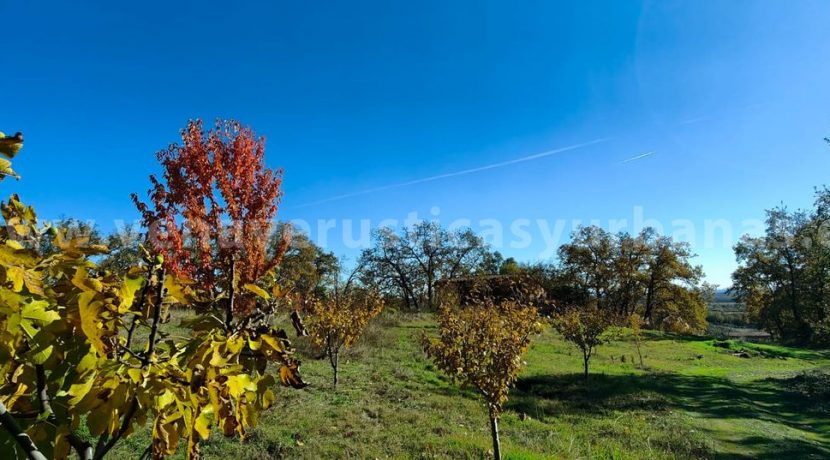 8ed3f359-cb5b-4953-9b7b-551db5967495_result