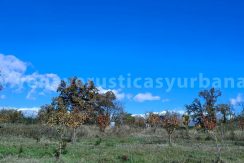 9186c58f-6e85-4322-8792-7fd318196e7b_result