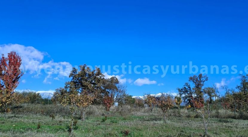 9186c58f-6e85-4322-8792-7fd318196e7b_result