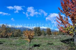 9feb703f-683f-4327-a6c0-4a222660fdac_result