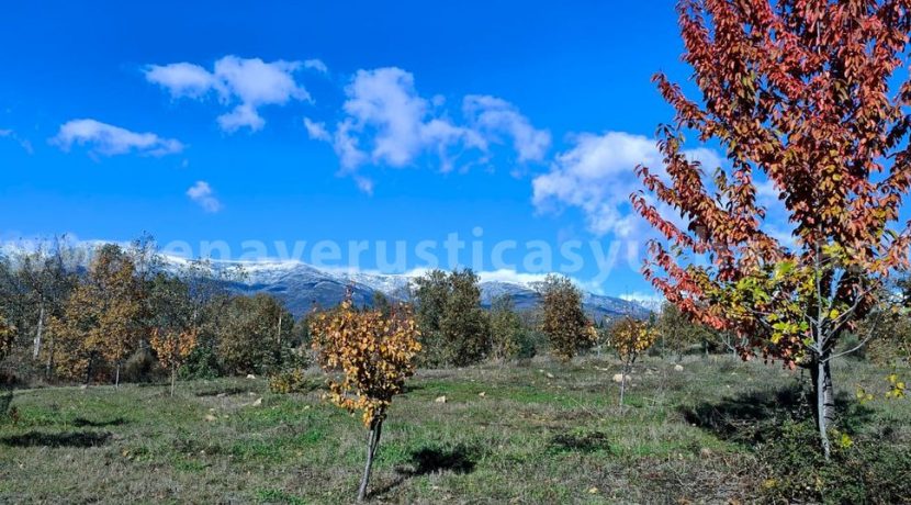 9feb703f-683f-4327-a6c0-4a222660fdac_result