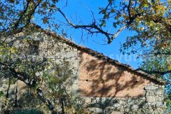 a44116e3-32cc-45fc-b36e-92e311fd12bb_result