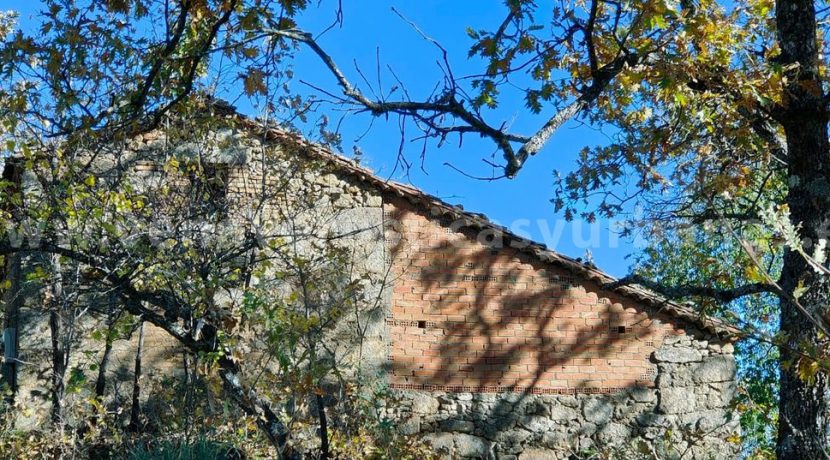 a44116e3-32cc-45fc-b36e-92e311fd12bb_result