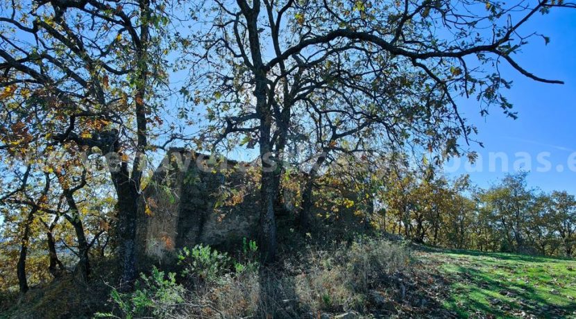 a93ea136-b379-4ddb-9463-5968c55c835c_result