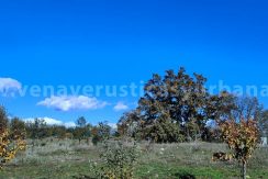 aaab0f61-8d9d-48a1-98d8-62f0a9fdb1ec_result