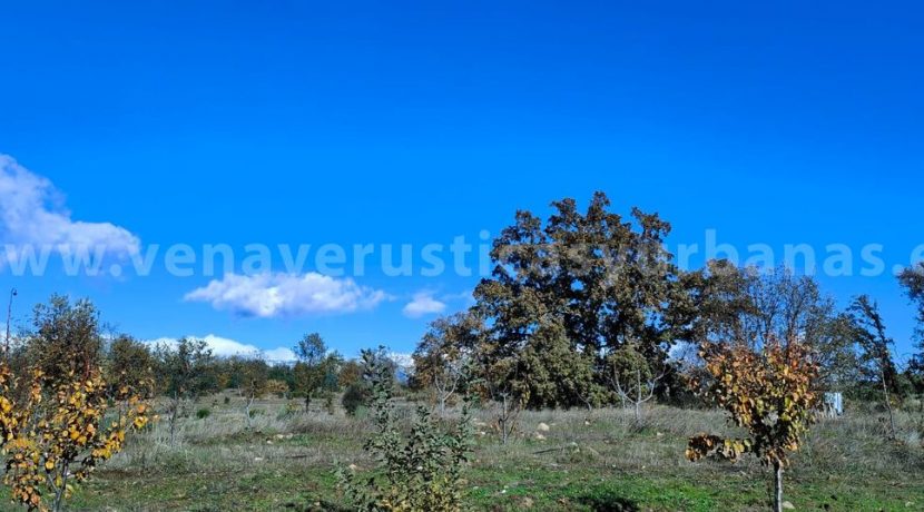 aaab0f61-8d9d-48a1-98d8-62f0a9fdb1ec_result