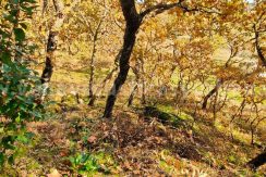 aae302a6-cb7c-4a71-b9d0-0ba8d9744fde_result