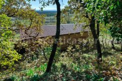 b8e80660-4814-4402-a0b9-44de217d172d_result