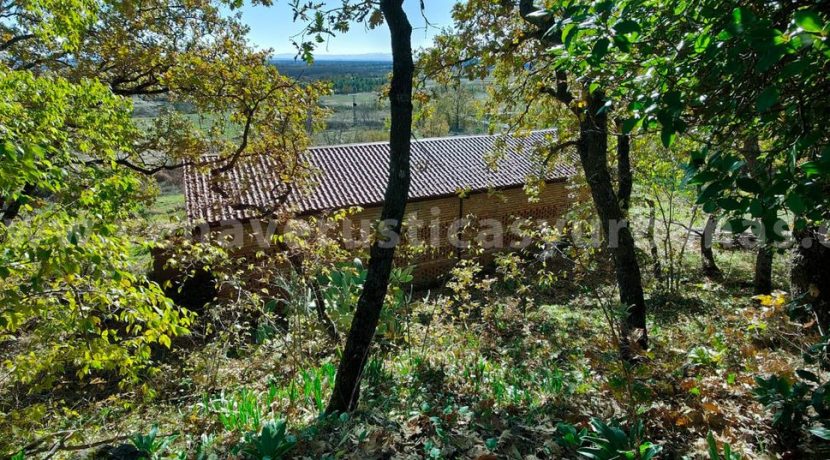 b8e80660-4814-4402-a0b9-44de217d172d_result