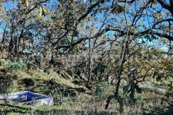 c27b697e-545c-4659-b1c9-532118ff08b7_result