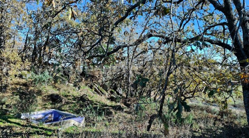 c27b697e-545c-4659-b1c9-532118ff08b7_result