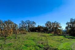 cb17003c-2477-4304-8e3d-339349c4ed38_result