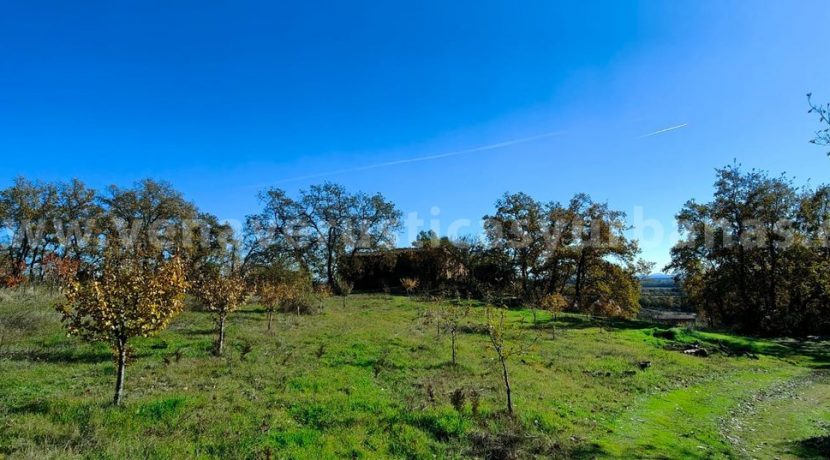 cb17003c-2477-4304-8e3d-339349c4ed38_result