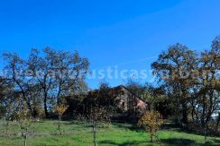 d954bb00-242f-4d3b-819b-20f714754676_result