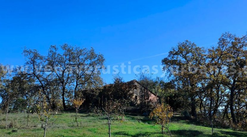 d954bb00-242f-4d3b-819b-20f714754676_result