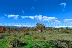 d96d6c1e-b543-4351-a3b3-675a2d986db0_result