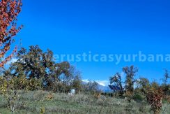 d9f81df3-b767-4d55-b2c3-d6954da94859_result