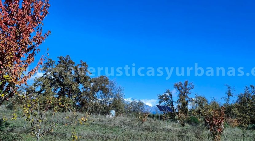 d9f81df3-b767-4d55-b2c3-d6954da94859_result