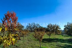 f53550d5-5de0-4072-a72b-7e10e51d9fd0_result