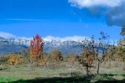 faa4ca1a-e2ef-439c-b99d-270a583654fa_result