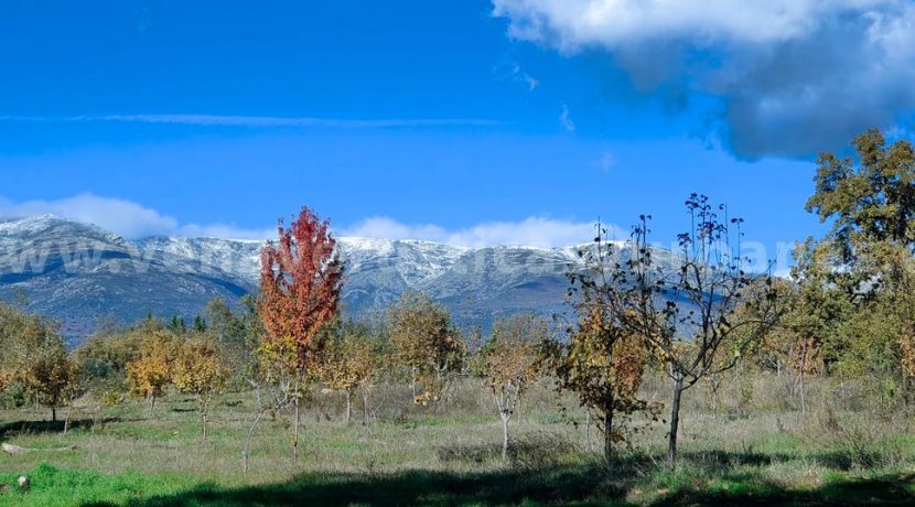 faa4ca1a-e2ef-439c-b99d-270a583654fa_result