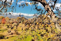 fff371a4-e785-4c6b-9e90-797c2501738a_result