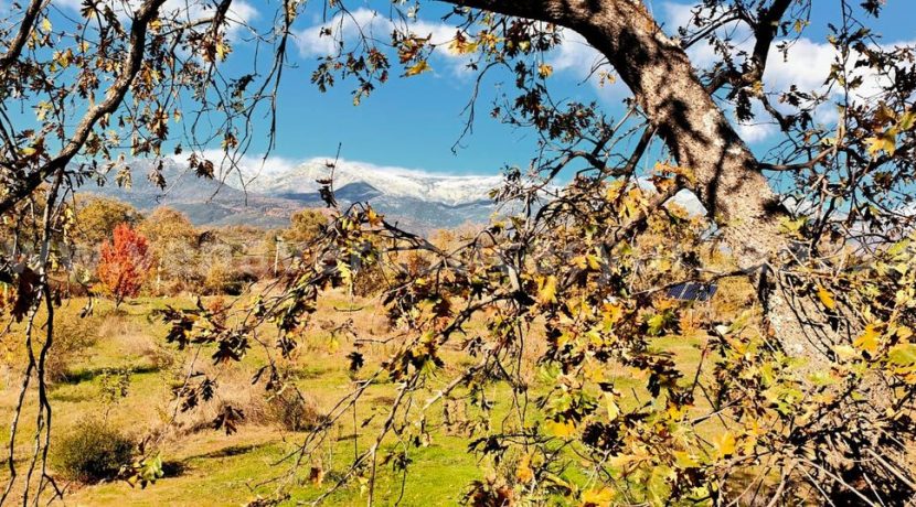 fff371a4-e785-4c6b-9e90-797c2501738a_result