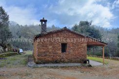 013ba8e9-fc75-47bf-ac4e-51876a0e8170_result