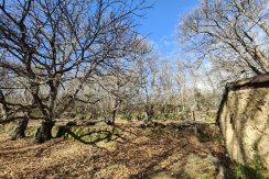 028c7f8a-5ee6-4c3c-a120-076166f8dceb_result