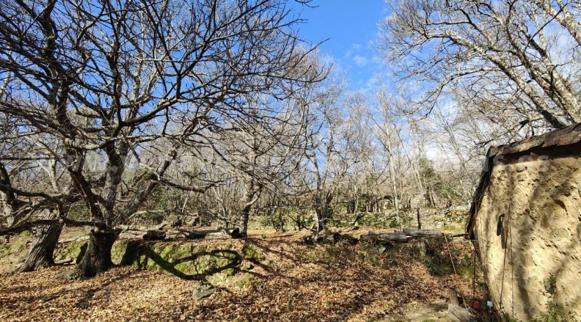 028c7f8a-5ee6-4c3c-a120-076166f8dceb_result