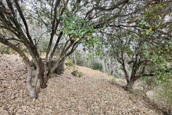 04921e46-fa4f-4204-b9ce-e28e76efa7b7_result