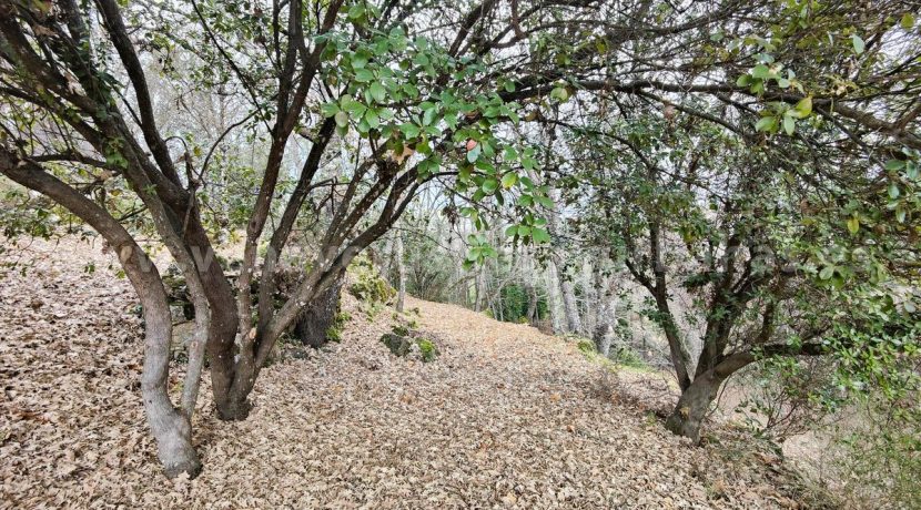 04921e46-fa4f-4204-b9ce-e28e76efa7b7_result