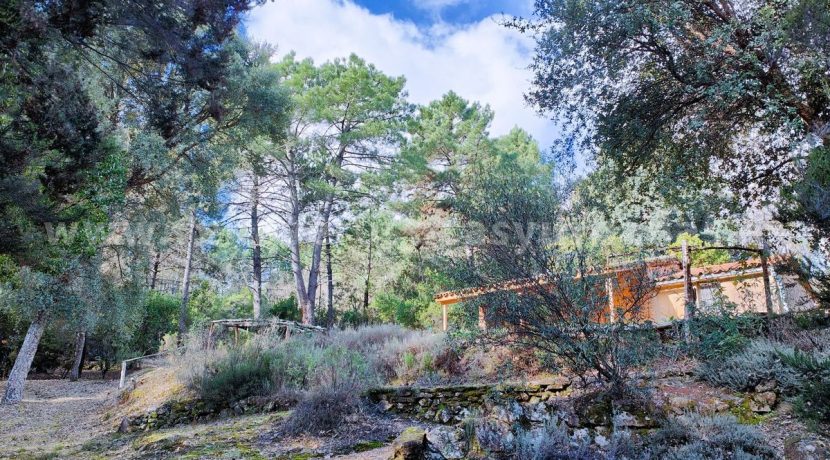 0567a1f3-3152-48b7-95dd-46b8eb72bbd8_result