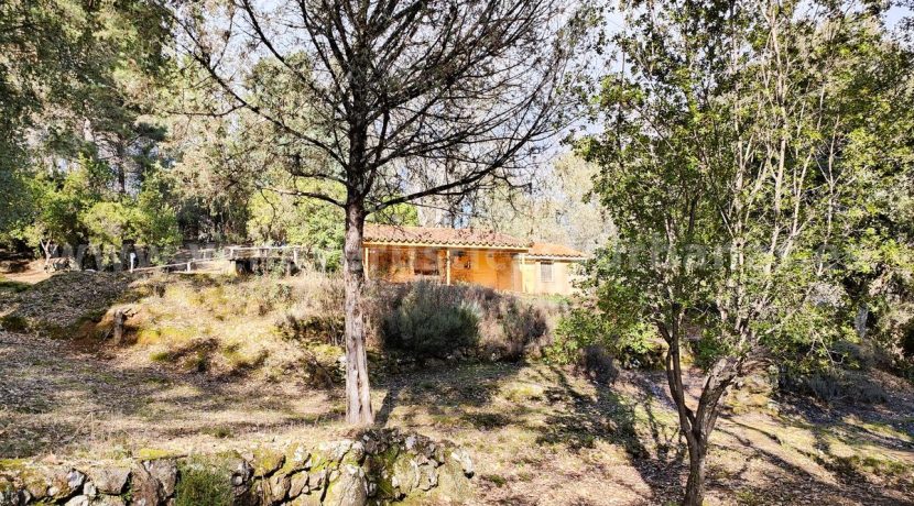 0c930602-23b3-4c35-972e-e0ccb90c4ee9_result