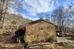 131c0894-c5fa-46f6-b151-b468fc075926_result