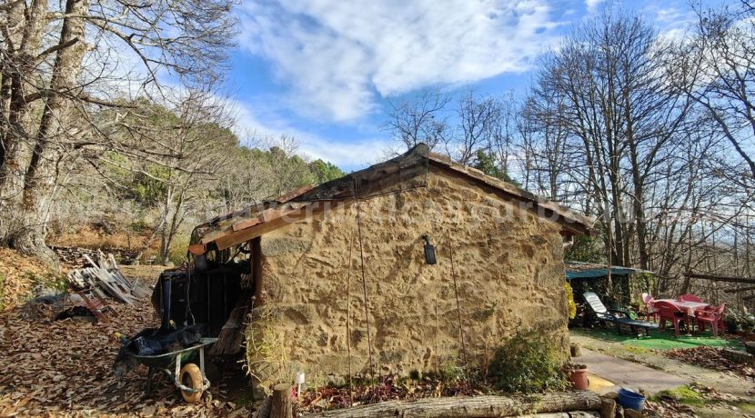 131c0894-c5fa-46f6-b151-b468fc075926_result