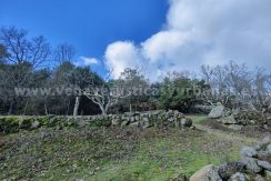 1346de85-a7d6-4967-9c74-9a257663cf60_result