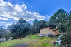 153f77ff-e7fe-420f-88a4-6ea2037f7d16 (1)_result