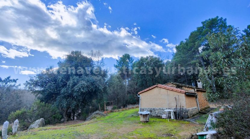 153f77ff-e7fe-420f-88a4-6ea2037f7d16 (1)_result