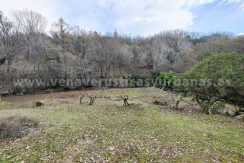 1baa4828-22c7-4e63-a286-7a6e7375244a_result