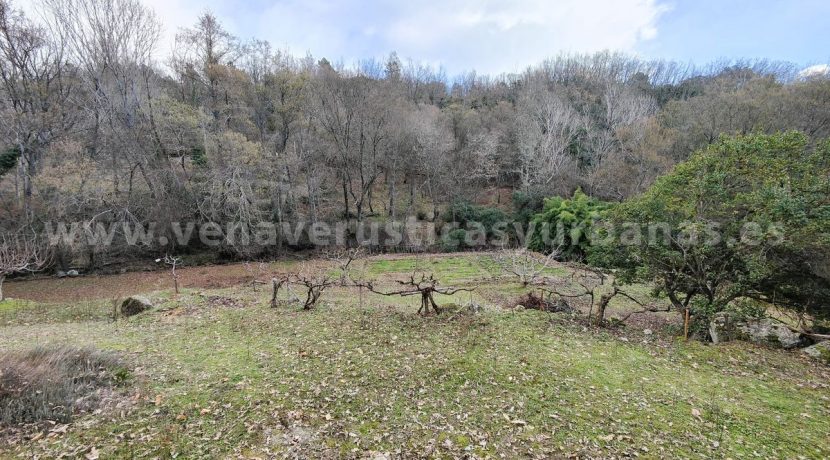 1baa4828-22c7-4e63-a286-7a6e7375244a_result